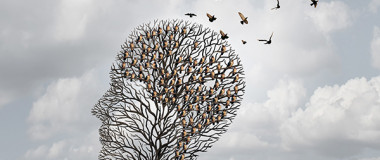 August Blog Ageing population