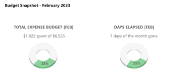 Budget Snapshot - Expense