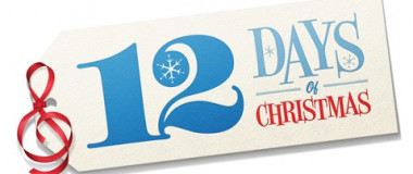 12 Days Tag of Christmas 479x291